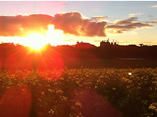 Área da Fazenda Cantagalo