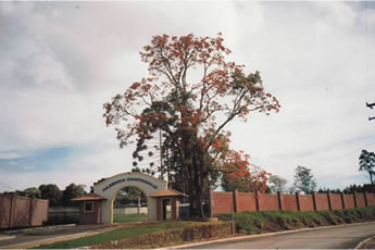 Portal Fazenda Cantagalo